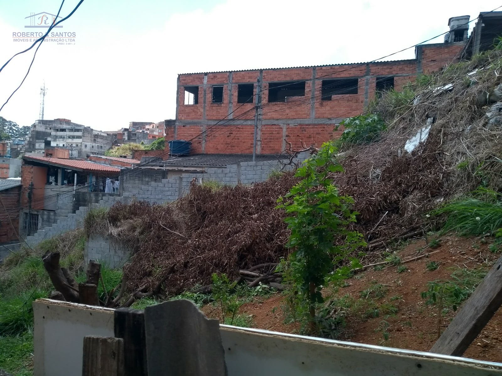 Terreno