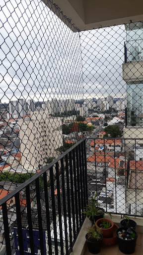 VISÃO CASACA