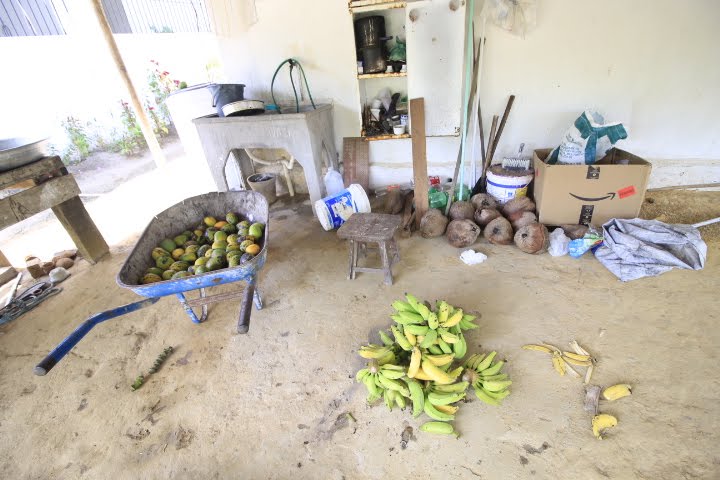 Rural à venda com 25000m² de terreno no Tabuleiro, Igarassu (PE) — foto 17 de 30