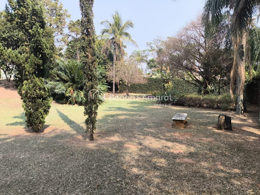 Casa, 3 quartos, 438 m² - Foto 18