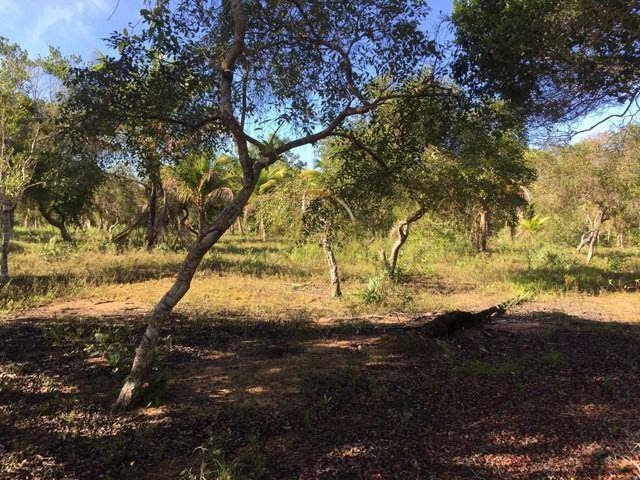 Terreno à venda com 210000m² de terreno no Trancoso, Porto Seguro (BA) — foto 12 de 18