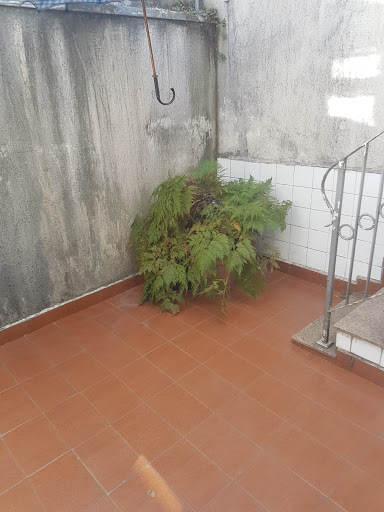Casa Sobrado em Cambuci  -  São Paulo