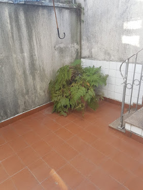 Casa Sobrado em Cambuci  -  São Paulo