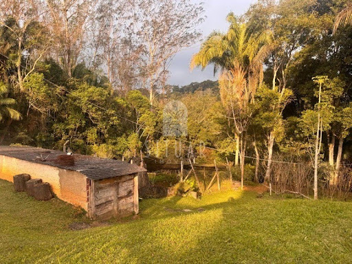 Foto 19
