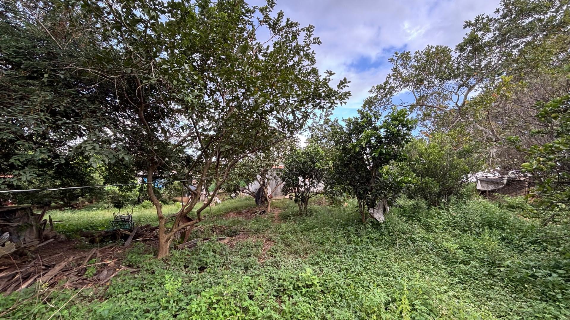 Rural à venda com 50000m² de terreno no Zona Rural, Itapuranga (GO) — foto 27 de 30
