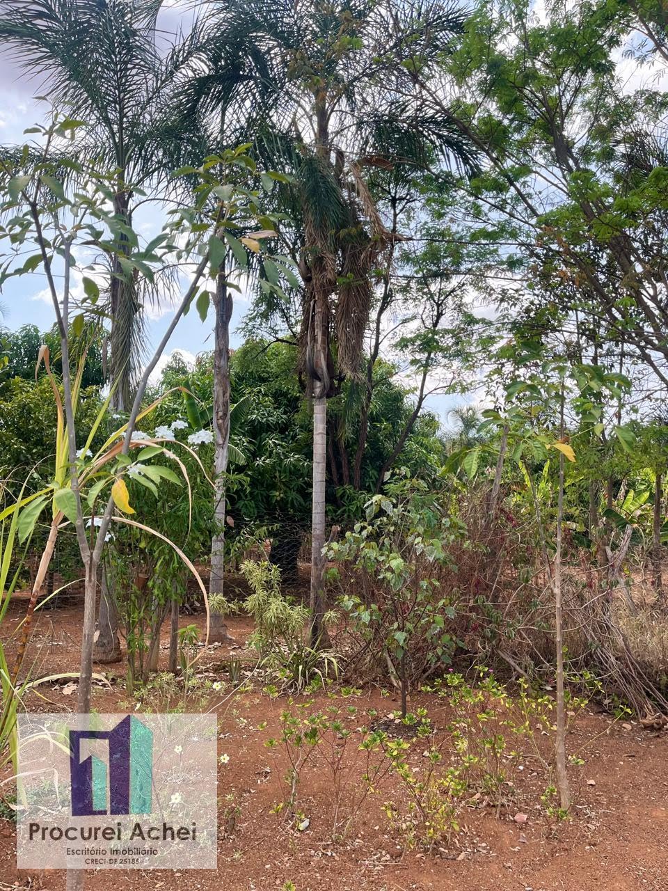 Rural à venda com 5000m² de terreno no Rajadunha I, Brasília (DF) — foto 5 de 21