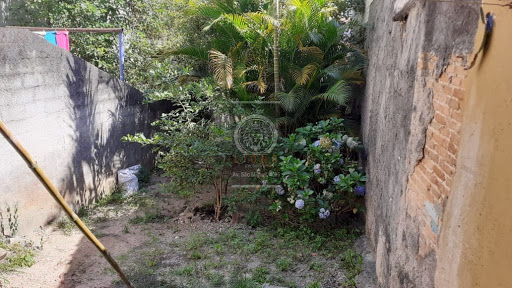 Casa em Parque Cruzeiro do Sul  -  São Paulo