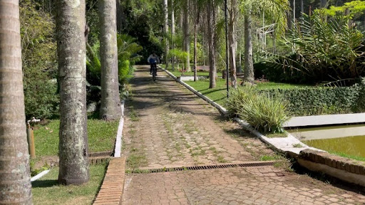 Foto 42