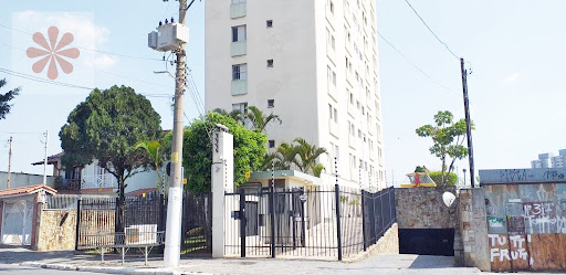 em Vila Paranaguá  -  São Paulo