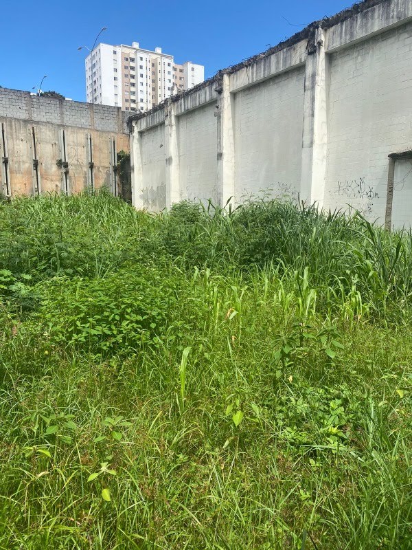 Terreno, 531 m² - Foto 5