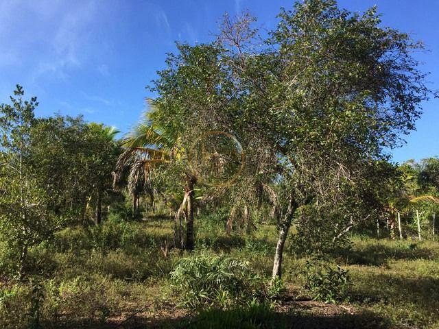 Terreno à venda com 210000m² de terreno no Trancoso, Porto Seguro (BA) — foto 9 de 18