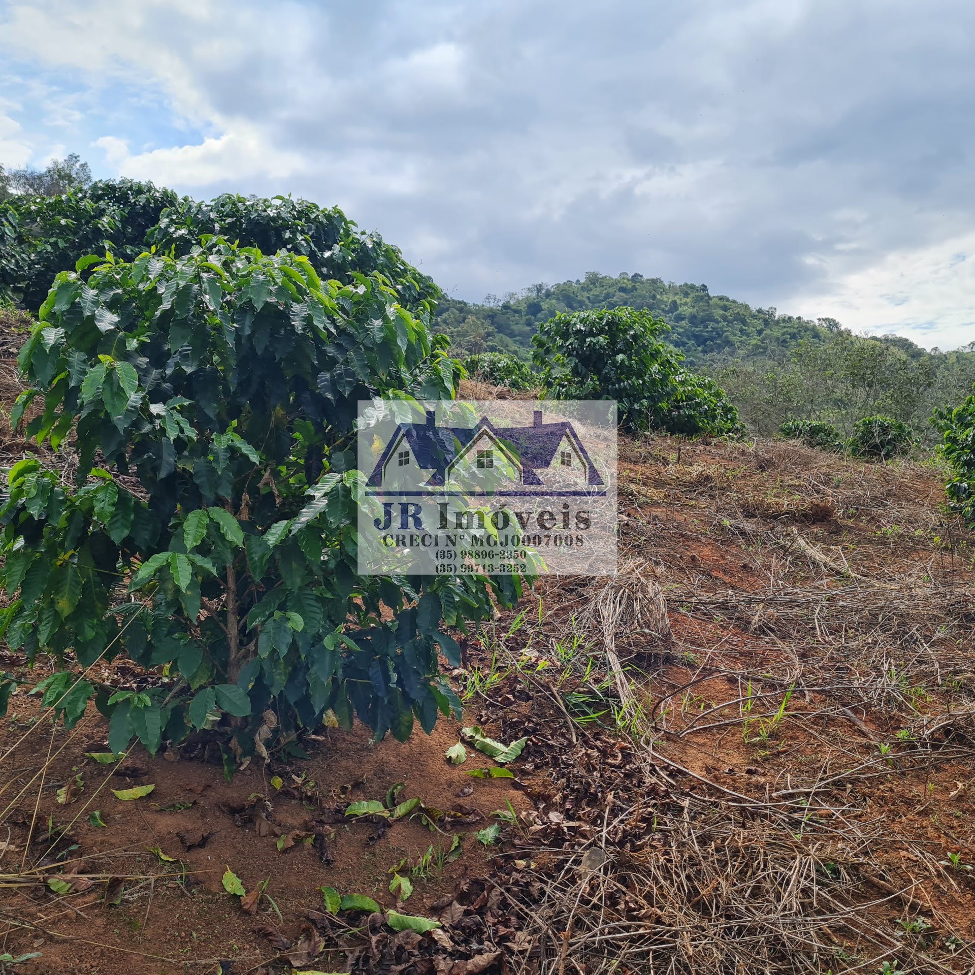 Terreno à venda com 21237m² de terreno no Pinheirinho, Itajubá (MG) — foto 20 de 30