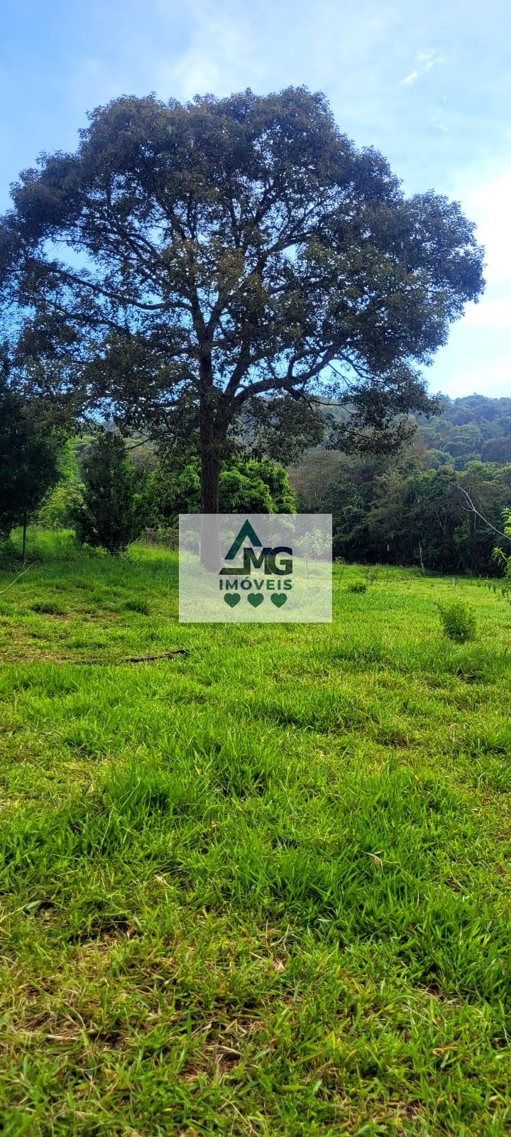 Rural à venda com 290000m² de terreno no Zona Rural São Tomé das Letras, São Thomé das Letras (MG) — foto 18 de 21