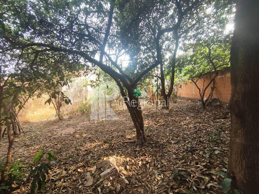 Casa em Centro  -  Bebedouro