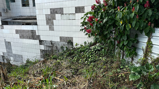 Terreno à Venda em Iguaçu, Ipatinga | 616m²