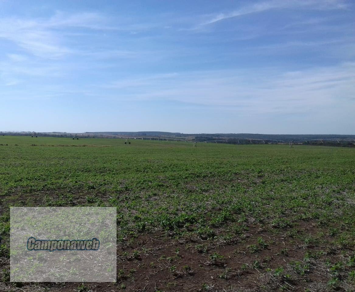 Área agricultável