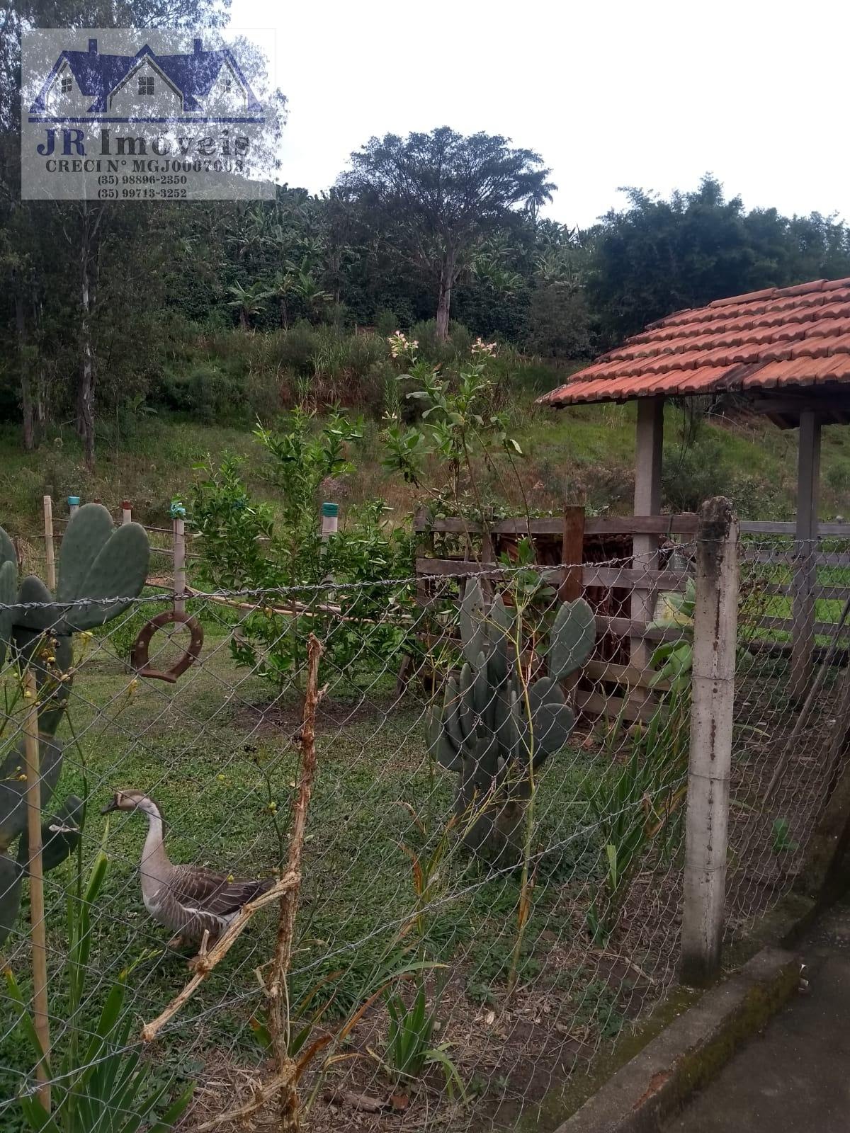 Rural à venda com 8400m² de terreno no Sertãozinho, Pedralva (MG) — foto 10 de 30