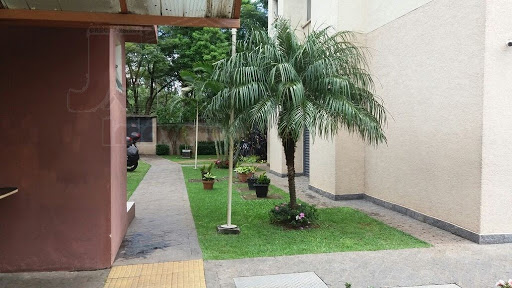 Entrada