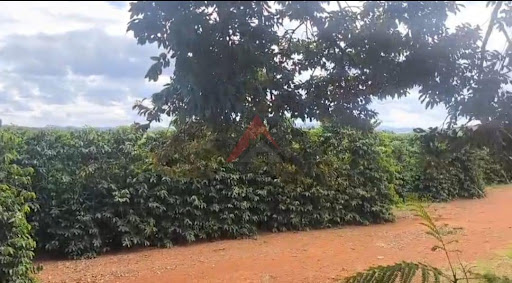 Fazenda em Coqueiros  -  Belo Horizonte