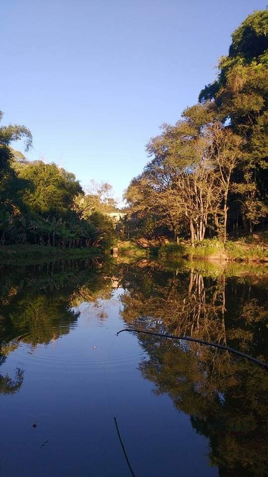Rural à venda com 826m² de terreno no Pedreira Sargon, Arujá (SP) — foto 17 de 19