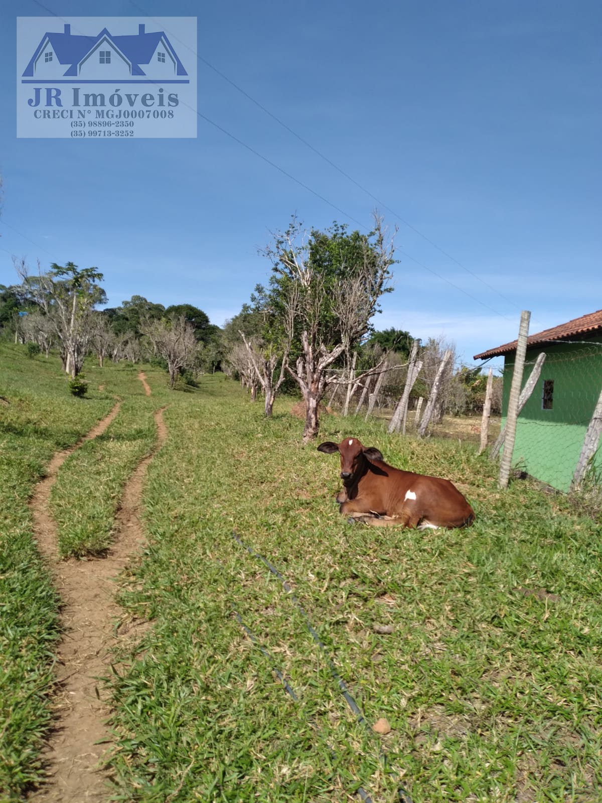Rural à venda com 20000m² de terreno no Paulino Paixao, Pedralva (MG) — foto 11 de 28