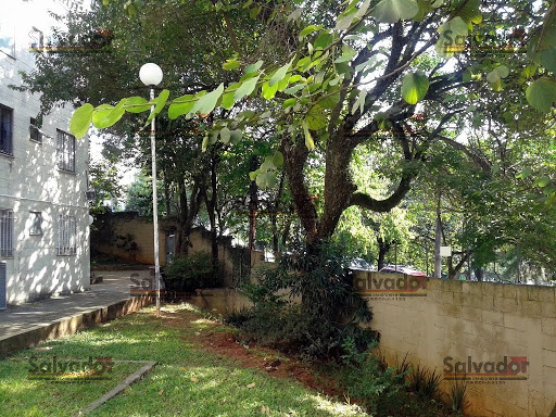 Entrada