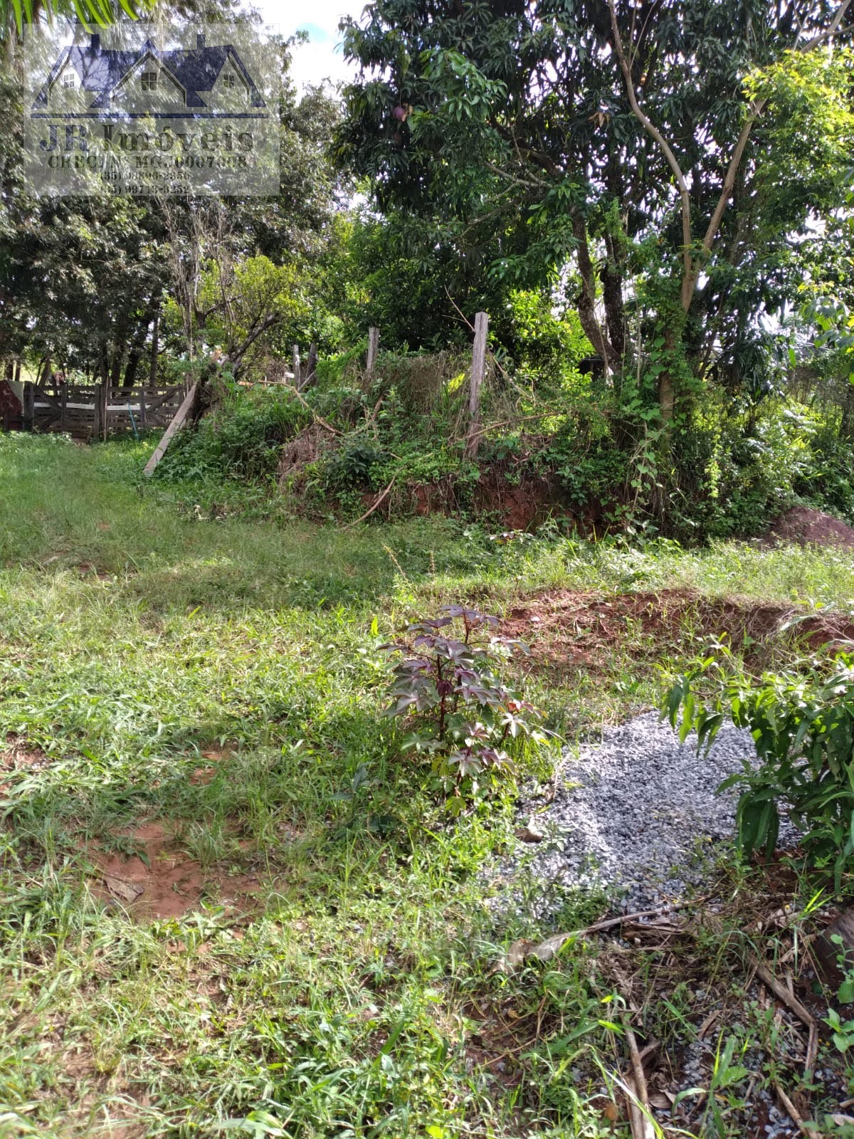 Rural à venda com 20000m² de terreno no Paulino Paixao, Pedralva (MG) — foto 23 de 28