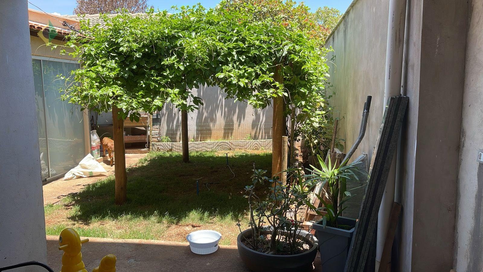 Jardim