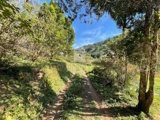 Foto 02