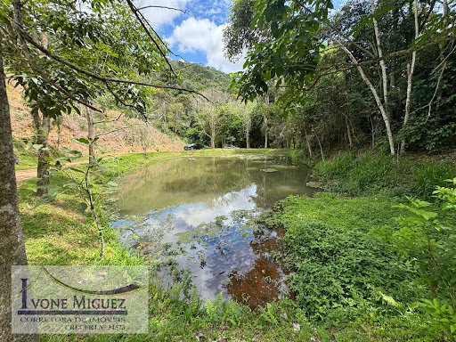Terreno em Vale das Videiras - Paty do Alferes, RJ