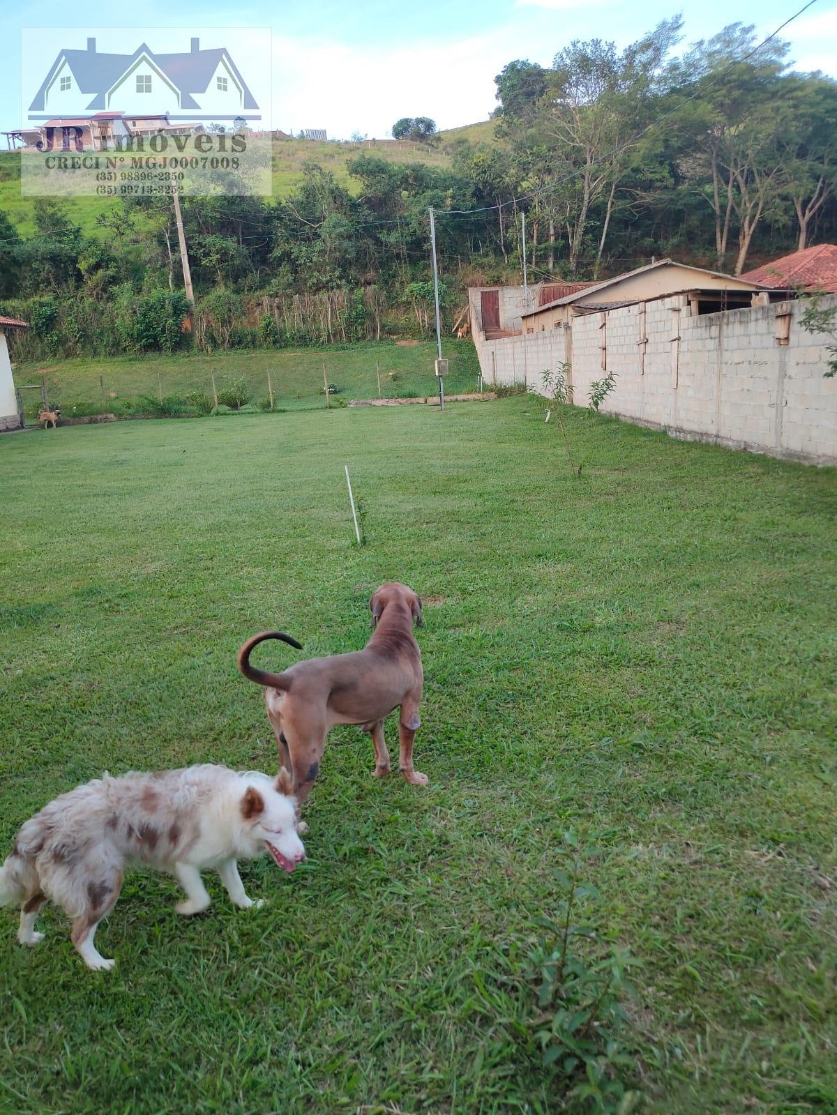 Rural à venda com 1800m² de terreno no Sossego, Piranguinho (MG) — foto 21 de 27