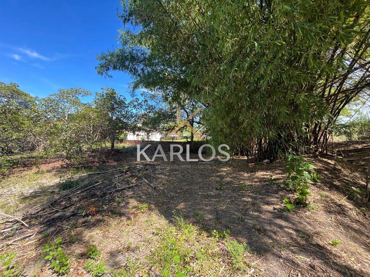 Terreno à venda com 1602m² de terreno no Lance dos Cações, Ilha de Itamaracá (PE) — foto 16 de 16