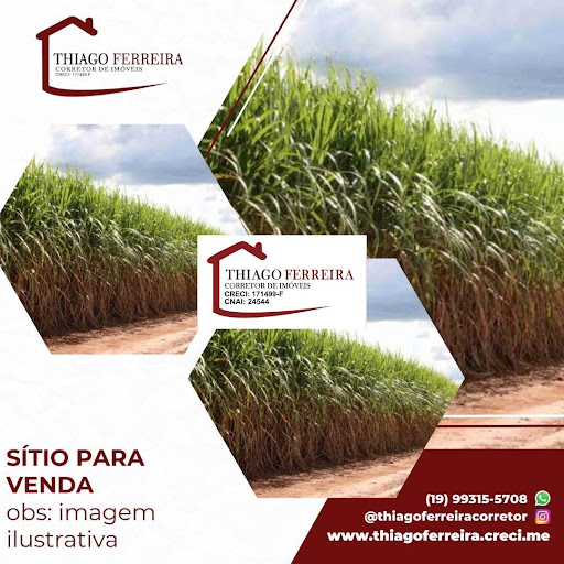 Sítio em Área Rural  -  Santa Rita do Passa Quatro