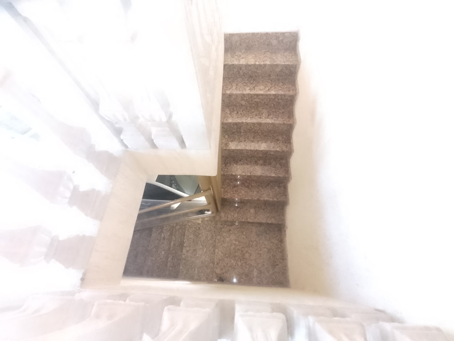Casa, 5 quartos, 500 m² - Foto 16