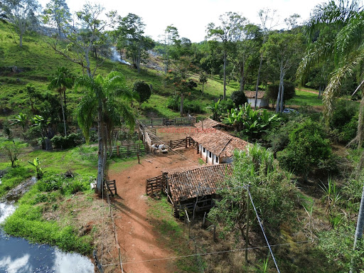 Curral