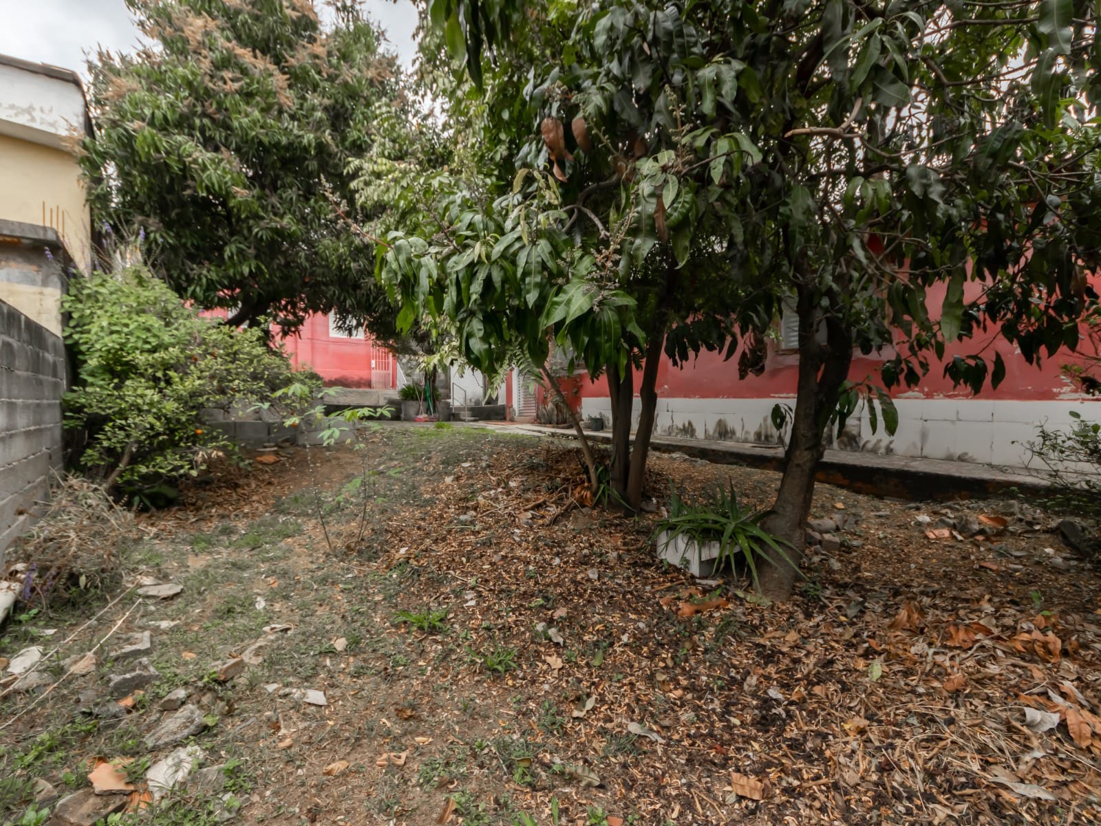 Casa à venda com 2 quartos, 1 banheiro, 1 vaga e 312m² no Jardim Santa Mônica, São Paulo (SP) — foto 21 de 26