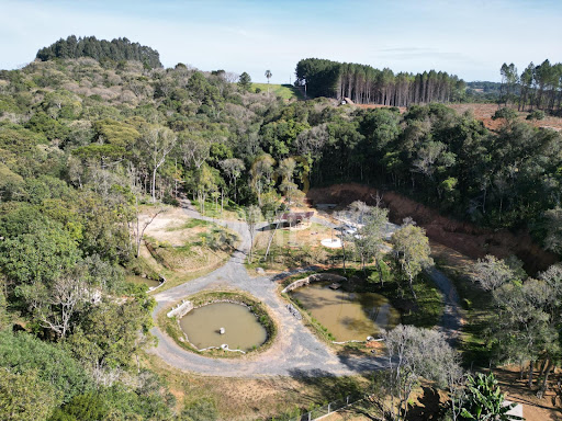 CHÁCARA EM CAMPO ALEGRE | 30.179,56 m²