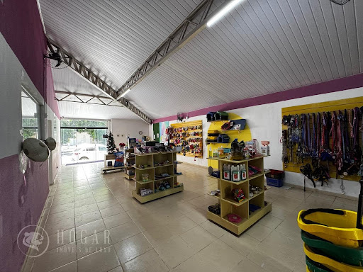 Prédio Comercial  Av. T2 - Setor Bueno  -  Goiânia