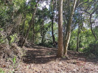 Terreno  à Venda em Parelheiros  -  São Paulo