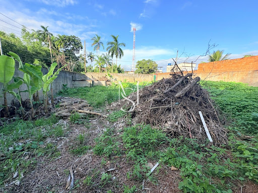 Lote / Terreno em Bracuí (Cunhambebe)  -  Angra dos Reis