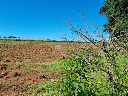 Terreno a venda em Casa Branca SP