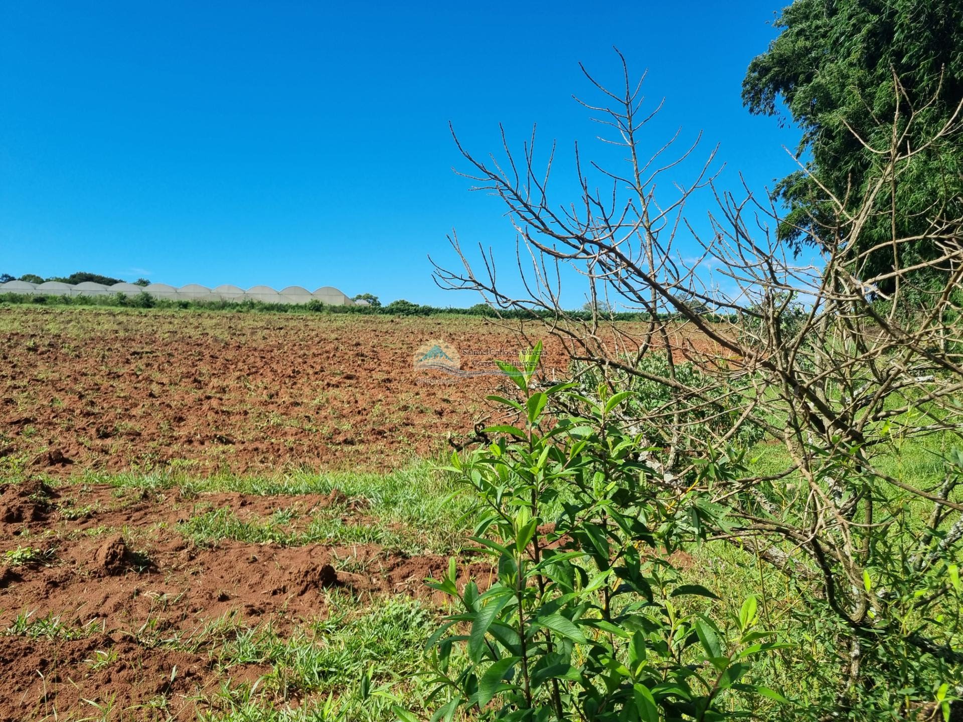 Terreno a venda em Casa Branca SP