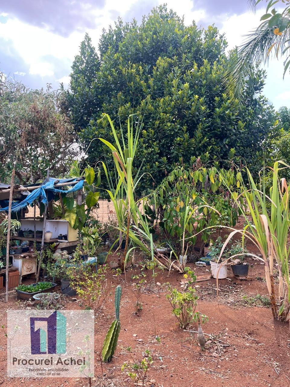 Rural à venda com 5000m² de terreno no Rajadunha I, Brasília (DF) — foto 7 de 21