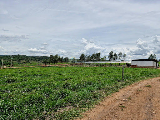 Fazenda a venda em Itobi SP