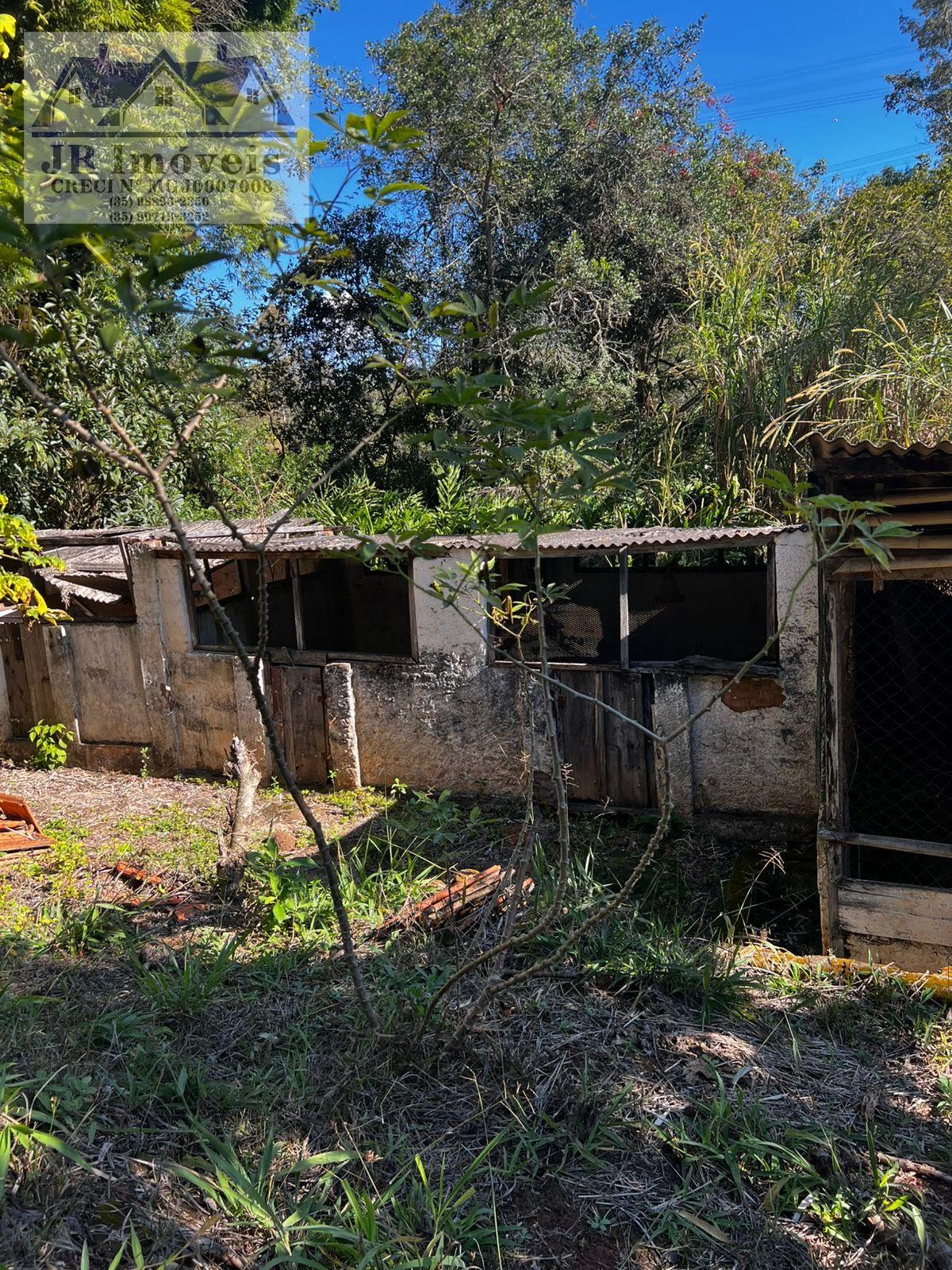 Rural à venda com 3046m² de terreno no Laje, Piranguinho (MG) — foto 8 de 30