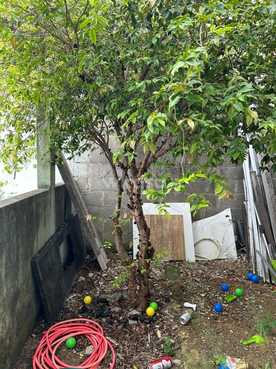 Casa à venda com 2 quartos, 1 suíte, 3 vagas e 80m² no Cid Continental, Serra (ES) — foto 14 de 14