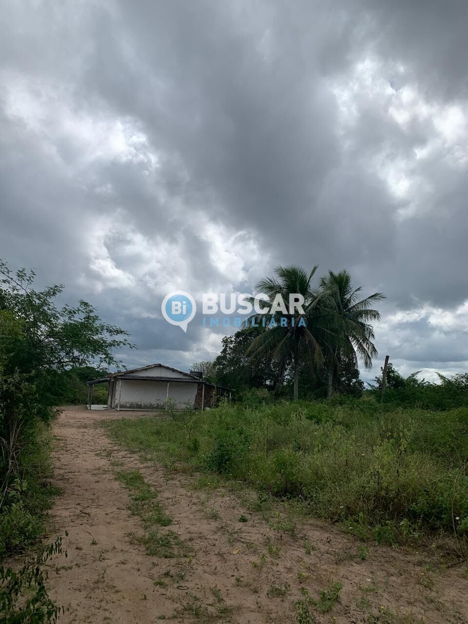 Rural à venda com 13182m² de terreno no Sim, Feira de Santana (BA) — foto 5 de 15