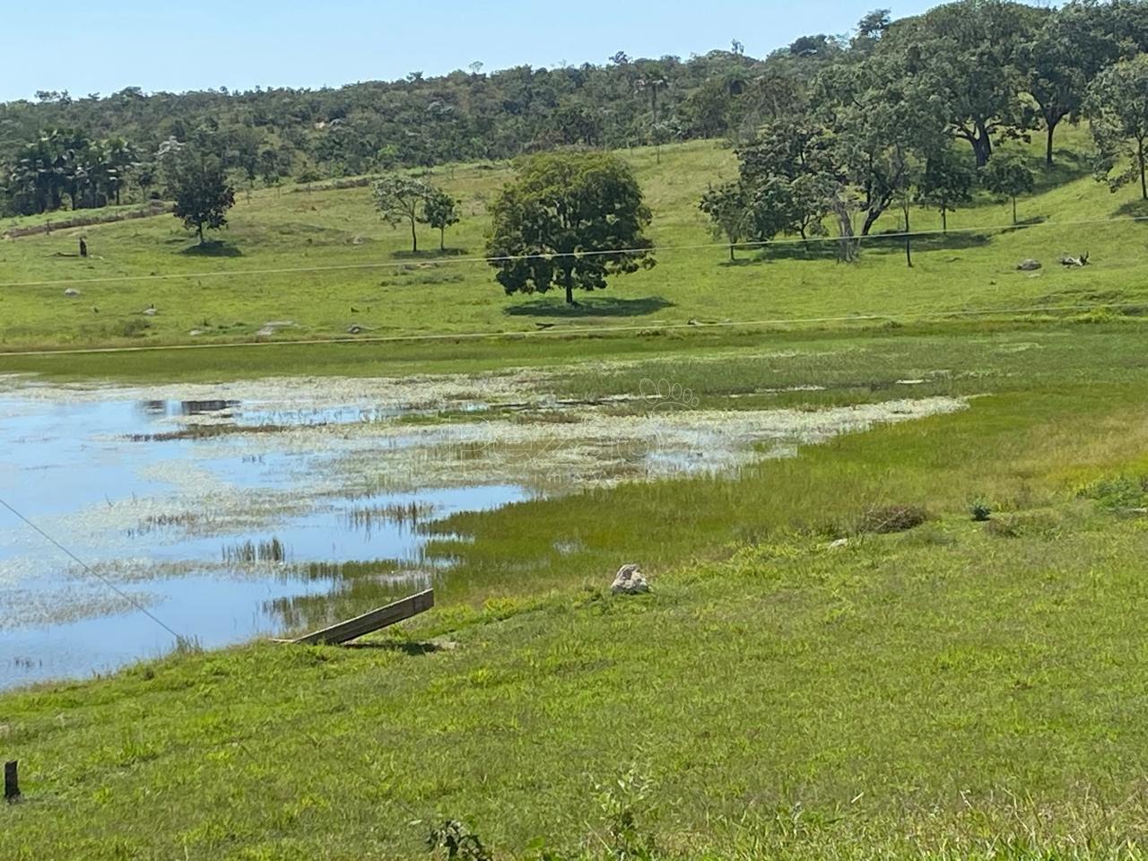Rural à venda no Zona Rural, Itapuranga (GO) — foto 9 de 18