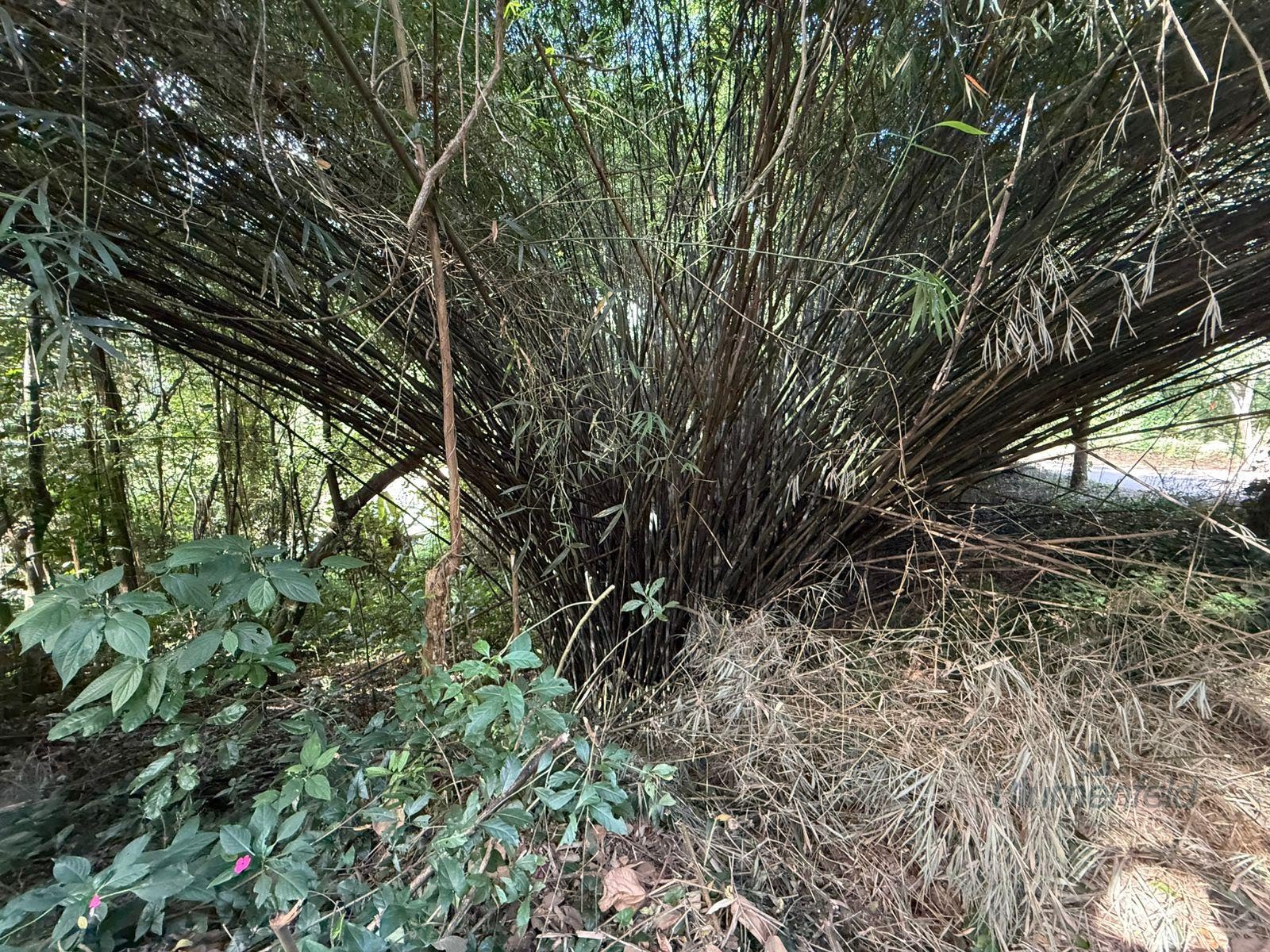 Terreno à venda com 1437m² de terreno no Condomínio Arujazinho II, Arujá (SP) — foto 2 de 6