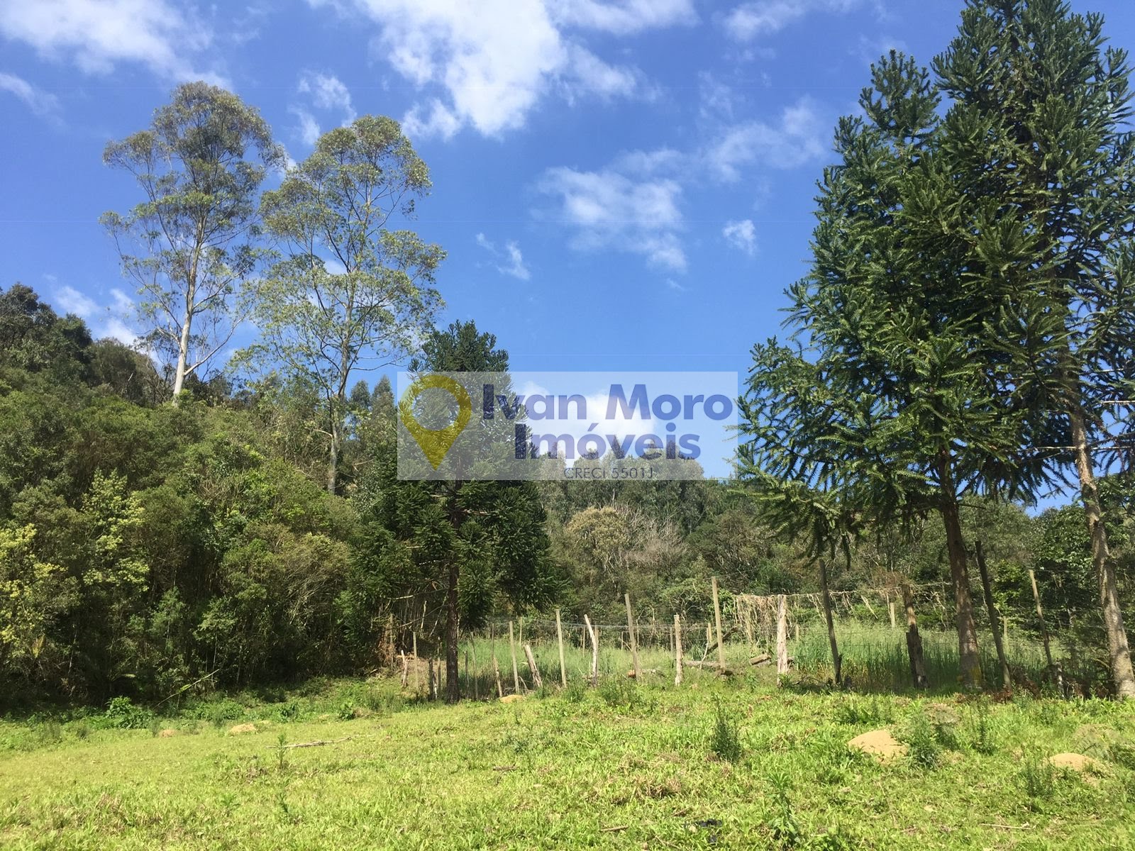 Rural à venda com 150000m² de terreno no Rio Braço do Norte, Anitápolis (SC) — foto 6 de 10